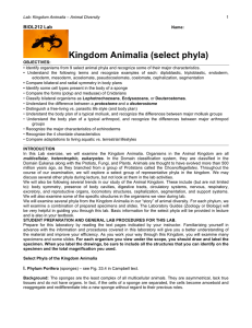 BIOL212AnimalDiversity