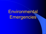 Environmental Emergencies Fall 06