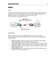 Jaringan Komputer Lanjut