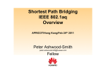 Shortest Path Bridging IEEE 802.1aq Overview