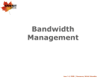 Bandwidth Management Proxy dan TC OK