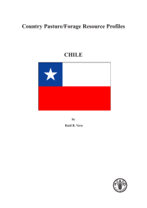 Chile English