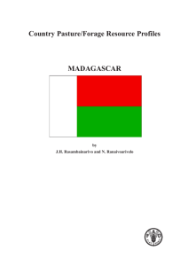 Madagascar English