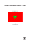 Morocco English