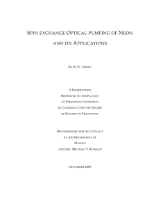 Spin Exchange Optical Pumping of Neon and its Applications