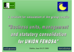 Business Units, Management and Statutory consolidation for Union Fenosa