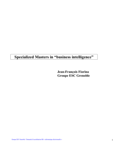 Specialized Masters in Business Intelligence