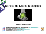 Bancos de Dados Biológicos