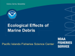 Ecological Effects of Marine Debris