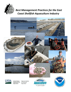 BMP manual east coast shellfish culture