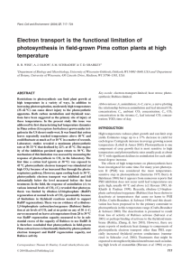 Wise, R.R., A.J. Olson, S.M. Schrader and T.D. Sharkey.  2004.  Electron transport is the functional limitation of photosynthesis in field-grown Pima cotton plants at high temperature. Plant, Cell Environment 27: 717-724.
