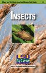 pub3306WheatPocketGuideFORWEBNov20143INSECTSSECTIO / 0.22MB