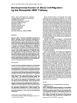 Developmental control of blood cell migration by the Drosophila VEGF pathway. Cell 108, 865-876. pdf