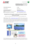 PDF Version(110KB)