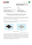 PDF Version(85KB)