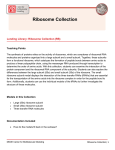 View document as pdf