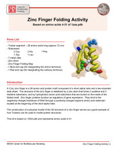 Zinc Finger Folding Activity