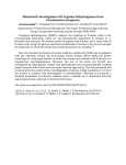 MECHANISTIC INVESTIGATION OF D-ARGININE DEHYDROGENASE FROM PSEUDOMONAS AERUGINOSA