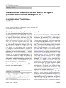 Archives of microbiology