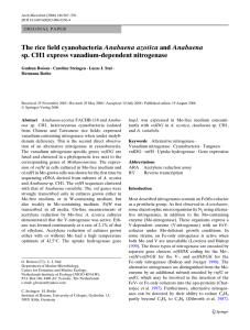 Archives of Microbiology