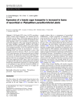 Mycorrhiza