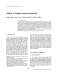 Journal of Protein Chemistry