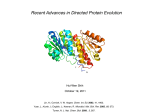Recent Advances in Directed Protein Evolution