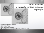HIV - estrutura, organização genética e ciclo de replicação