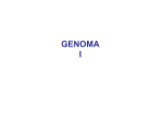 genoma i - Biologia Molecular e Genética