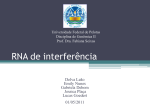 RNA de interferência