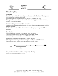 splicing.pdf