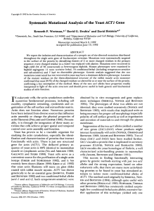 Systematic Mutational Analysis of the Yeast ACT1 Gene.