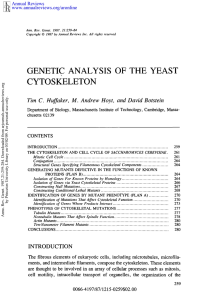 Genetic Analysis of the Yeast Cytoskeleton.