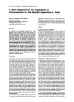 A Gene Required for the Separation of Chromosomes on the Spindle Apparatus in Yeast.