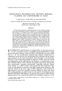 Homologous Recombination Between Episomal Plasmids and Chromosomes in Yeast.