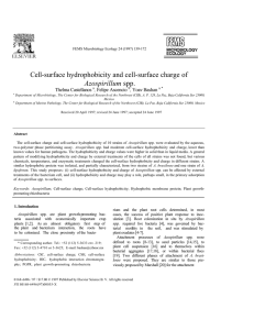 FEMS Microbiology Ecology 24