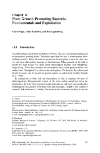 Bacteria in Agrobiology: Crop Ecosystems