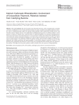 Microscopy Microanalysis