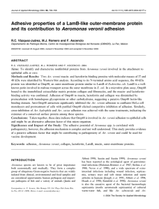 Journal of Applied Microbiology