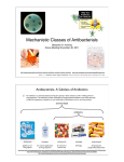 Mechanistic Classes of Antibacterials