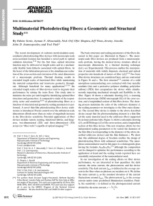 Multimaterial Photodetecting Fibers: a Geometric and Structural Study,”
