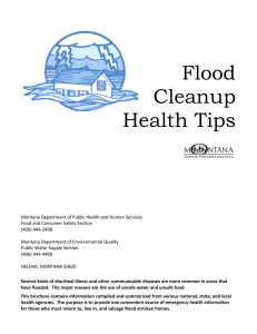 Flood Cleanup Health Tips