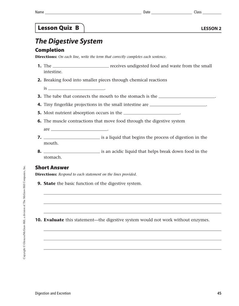 The Digestive System Lesson Quiz B Completion LESSON 21 For Digestive System Worksheet High School