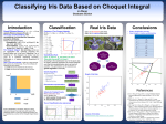 Classifying Iris Data Based on Choquet Integral Classification Conclusions