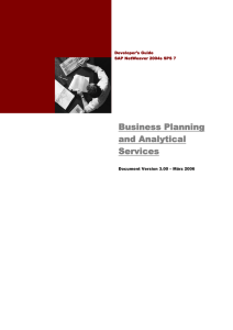 Business Planning and Analytical Services