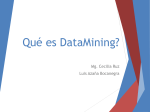 Qué es DataMining? Mg. Cecilia Ruz Luis Azaña Bocanegra