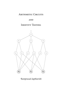 Arithmetic Circuits and Identity Testing