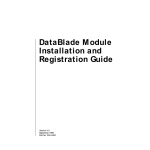 DataBlade Module Installation and Registration Guide Version 4.0