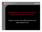 Visualizing the Venous System: Upper Extremity Thorax