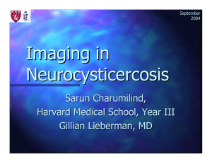Imaging in Neurocysticercosis